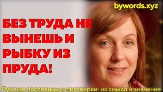 БЕЗ ТРУДА НЕ ВЫНЕШЬ И РЫБКУ ИЗ ПРУДА: смысл и значение