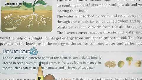 Class -4 | Science| Chapter -1 (More About Plants) Part-1