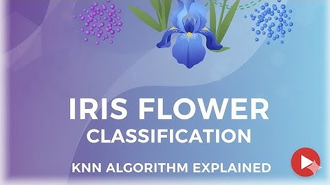 Iris flower classification (KNN)