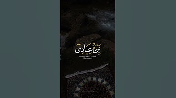 اكتب شي تؤجر عليه ♡✨️ | القارئ شريف مصطفى | قرآن كريم
