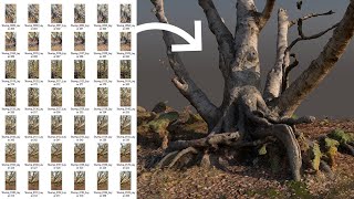 Creating 3D Scans and Importing into Rhino - Photogrammetry Tutorial