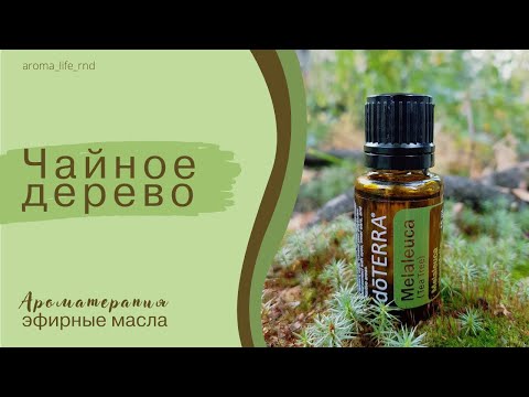 Эфирное масло чайного дерева. doTERRA. Полезные свойства и применение.