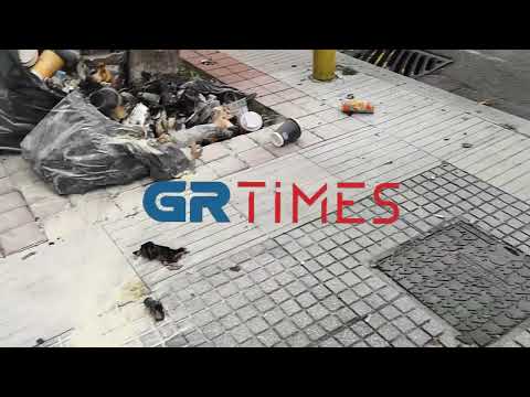 Επίθεση με βόμβες μολότοφ σε διμοιρία ΥΜΕΤ στην Αγίου Δημητρίου