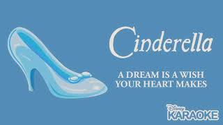 Karaoke Time A Dream Is A Wish Your Heart Makes Cinderella