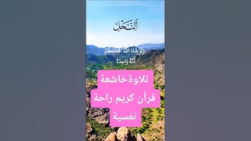 تلاوة خاشعة بصوت يريح القلب #elmulquranعلم #تلاوة #قران_كريم #المصحف #trend #لايك #راحة_نفسية