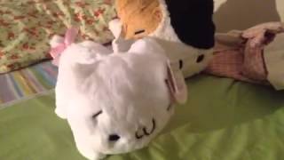 kaomoji cat