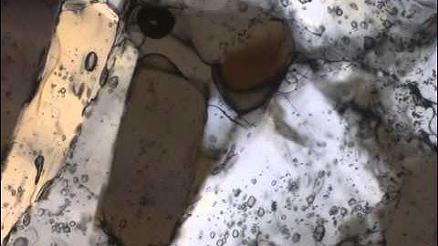 Grain boundary sliding and subgrain rotation recrystallization in polycrystalline camphor