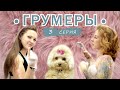 ВебСериал &quot;Грумеры&quot; Груминг салон - что-то пошло не так! Стрижка кошки. Йоркширский терьер  Тедди.