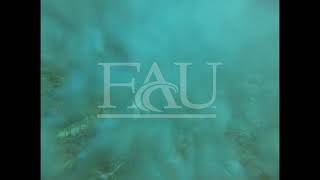 Bioinspired Soft Robotic Jellyfish: Innovations in Marine Monitoring and STEM Education