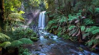 Musik Malam Hari  Relaxing Night  Suara Gemericik Air Malam Sunyi