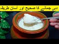         how to make homemade curd  yogurt recipe