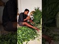 #viral #viralshorts #viralvideos #gausala #deshilife