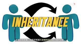 责任重大的遗嘱执行人！