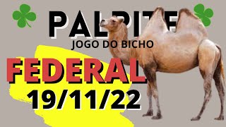 Palpite dia 15/11/2023 - JOGO DO BICHO TODAS AS LOTERIAS 