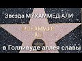 Hollywood &quot;аллея славы&quot;. звезда МУХАММЕДА АЛИ