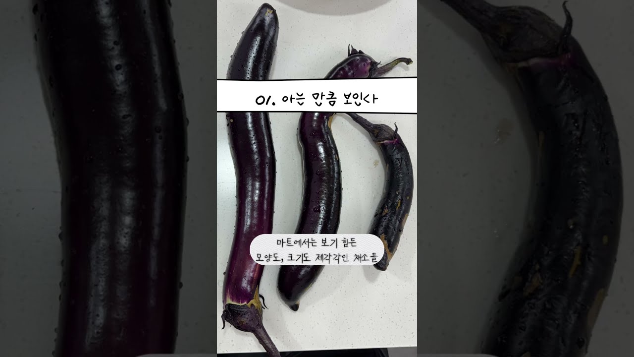 텃밭을 가꾸며 깨달은 3가지