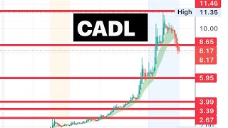 #CADL 🔥 insane run today! What about tomorrow? $cadl