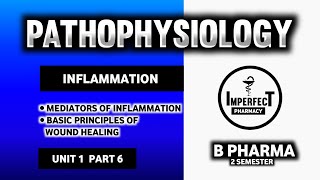 Mediators Of Inflatlmmation | Basic Principle Of Wound Healing In The Skin | Pathophysiology