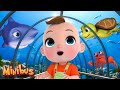 Play At the Aquarium with Sea Animals - Kids Songs &amp; Nursery Rhymes | Minibus