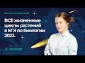 🌿ВСЕ жизненные циклы растений в ЕГЭ по биологии 2023