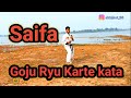 Saifa Goju Ryu Karate kata 3 Sensei Abhijeet Singh