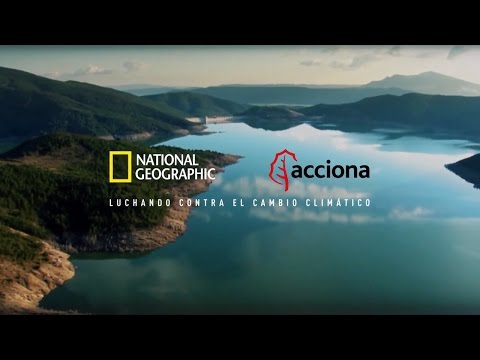 Vídeo: El Desarrollador De Lumines Lucha Contra El Cambio Climático