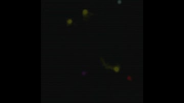 Cosmic Nebula: A Generative Simulation