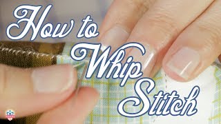 How To Whip Sch Sewing Project With Stacy Iest Hsu