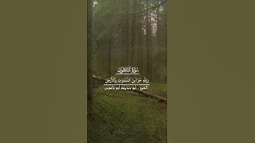 تلاوة ما تيسر من سورة المنافقون للشيخ أبو حذيفة أبو ناموس
