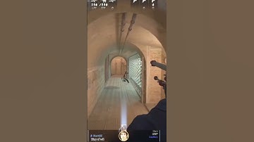 #foryou #csgo #wtfcsgo #counterstrike #counterstrikefacts #viralvideo #gaming #csgoclips #esportscs2