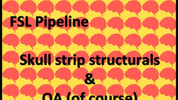 Step 2: Brain extraction & QA