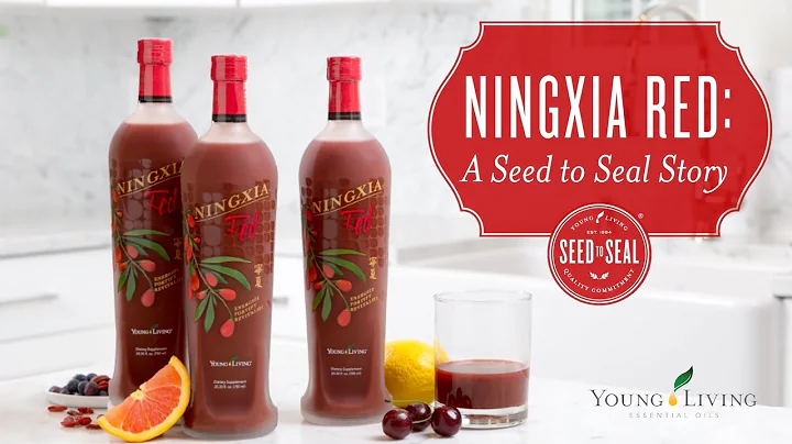 Ningxia Red: A Seed to Seal Story | Young Living Essential Oils - DayDayNews