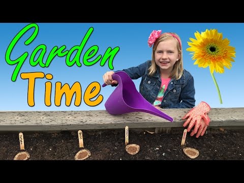 Lesson thumbnail
