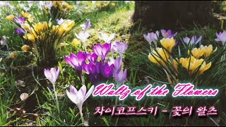 🌷 차이코프스키 - 꽃의 왈츠 (호두까기 인형) / Tchaikovsky - Waltz of the Flowers (The Nutcracker Suite)