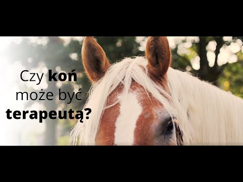 Czy koń może być terapeutą? - Hipoterapia