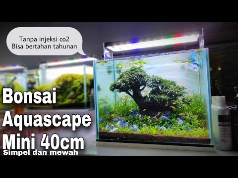 #223-membuat-aquascape-bonsai-mini,tanpa-injeksi-co2!!