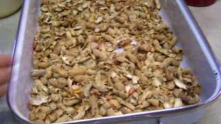 Patriot 600 and Adjustable Patriot Nutcrackers processing in shell Peanuts