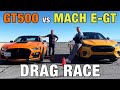 Drag Race! Ford Mustang Mach-E vs Shelby GT500 | Which Mustang Is Faster? | 0-60, Horsepower, & More