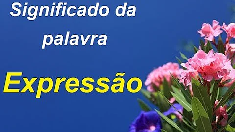 O que significa no dicionário a expressão?