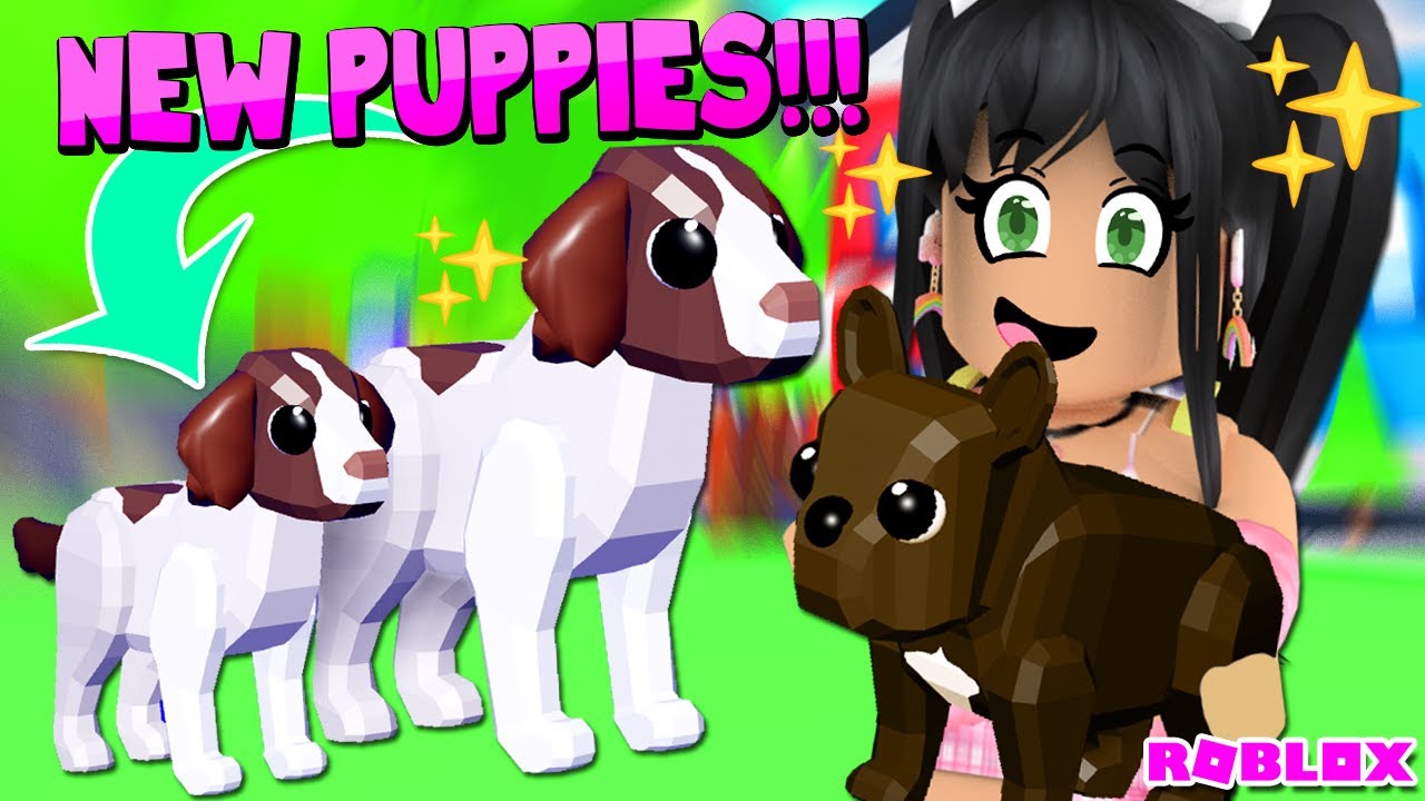 So Many New Puppies Update On Club Roblox Youtube - http //pison.club/roblox/