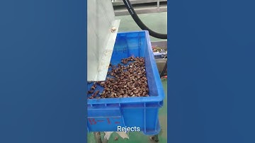 Cashew nuts separating with New Designed machine type emily@angelon.com.cn