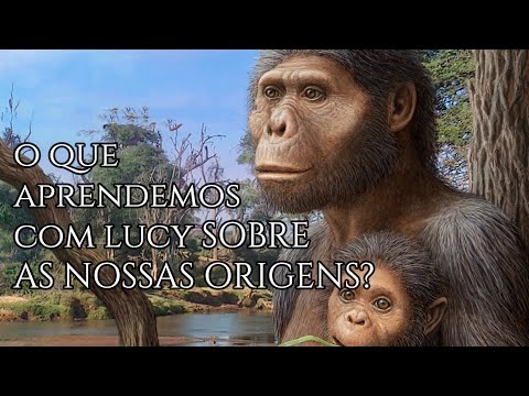 Vídeo: Onde foi descoberto o Australopithecus africanus?
