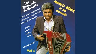 Cerisier Rose Et Pommier Blanc