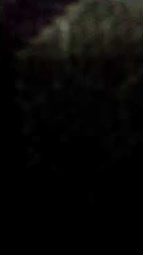 Status whatsapp _ ari lasso - hampa
