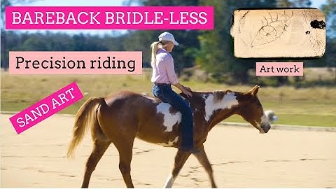 NO BRIDLE NO SADDLE : Precision Horse Riding Without Gear | LaraCoventryCox.com