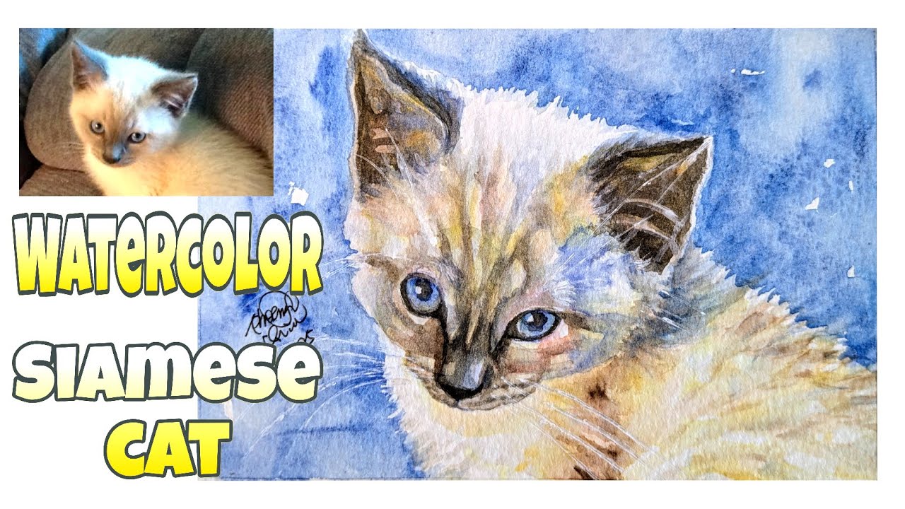 Watercolor Tutorial How to paint a Siamese cat 水彩畫教學 如何畫暹羅貓 - YouTube