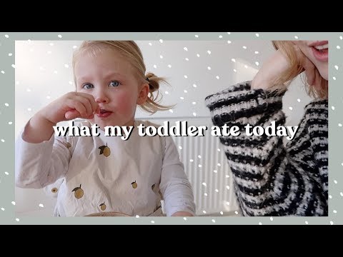 What My Toddler Ate Today | Rhiannon Ashlee