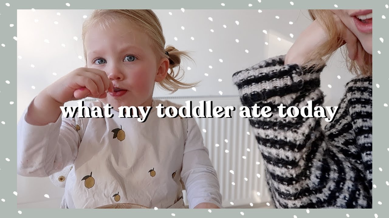 What My Toddler Ate Today Rhiannon Ashlee YouTube