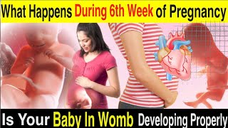 What&#39;s Happening to Your Baby at 6 Weeks of Pregnancy