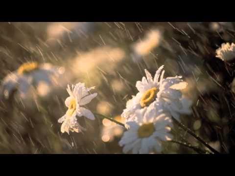 My Sample Cover of Catilin Rose's "Own Side"